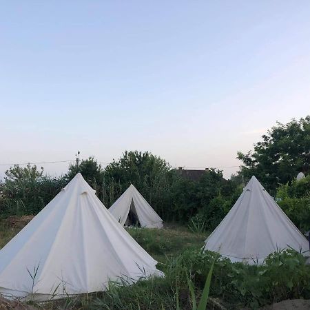 Danube Delta Hostel Homestay & Camping Sulina Exterior foto