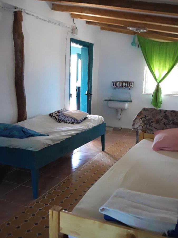 Danube Delta Hostel Homestay & Camping Sulina Exterior foto