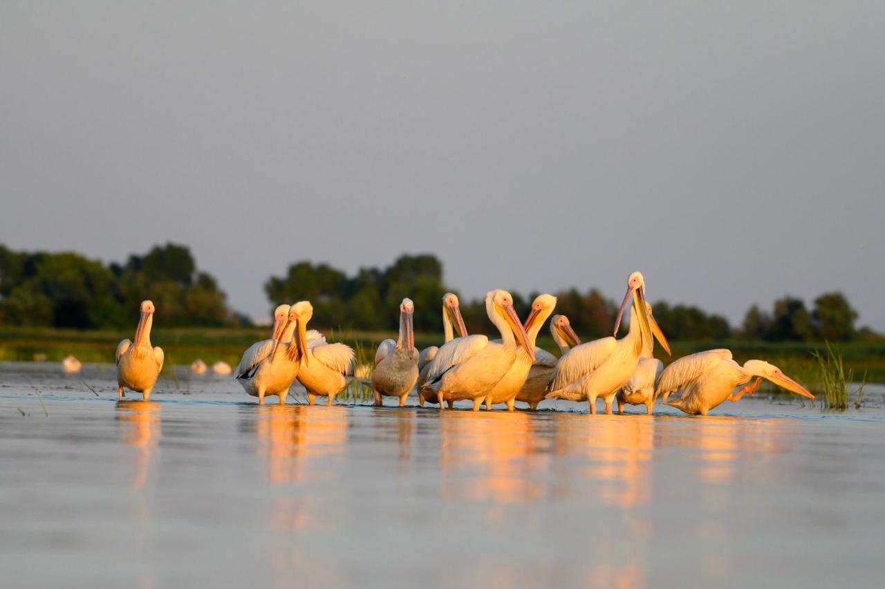 Danube Delta Hostel Homestay & Camping Sulina Exterior foto